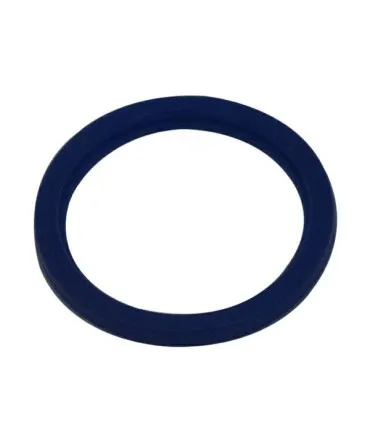 Uszczelka wylotowa zaworu DN50