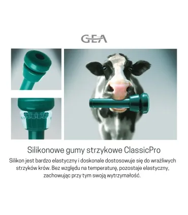 Wysokiej jakości guma strzykowa GEA WestfaliaSurge – maksymalny przepływ mleka