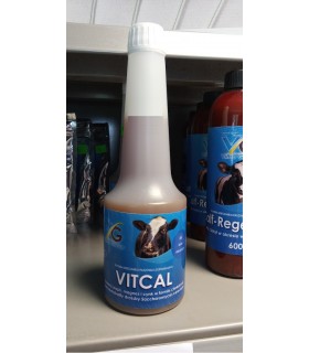 Vitcal 600g - dodatek żywieniowy z wapniem