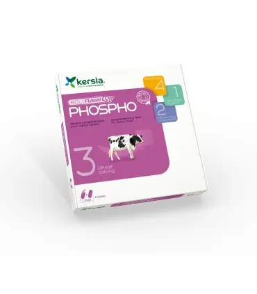 Boliflash Phospho karton (6 dawek - 12 bolusów)