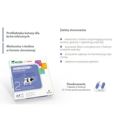 Bolifast Physiologic 1 dawka (2 bolusy)