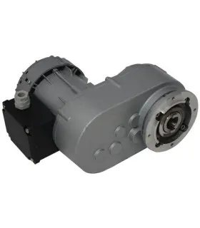 Motoreduktor 030519 R3 245 N2BR SIREM