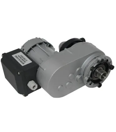 Motoreduktor 030501 R1C 245 NP7B SIREM