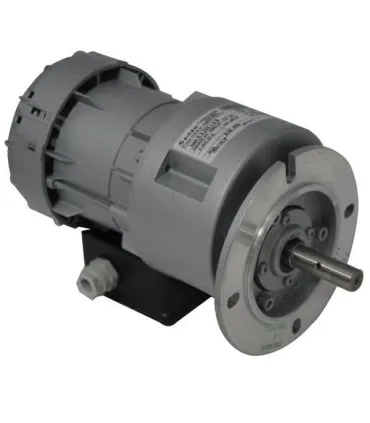 Motoreduktor 030604 R3 245 L5B SIREM