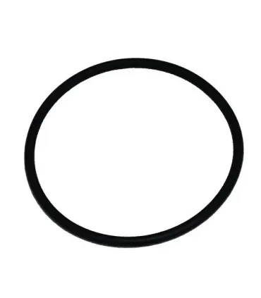 Oring do uszczelnienia pompy Sirem typ K