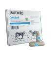 Calcibol - Bolus wapniowy (1 dawka - 1 bolus)