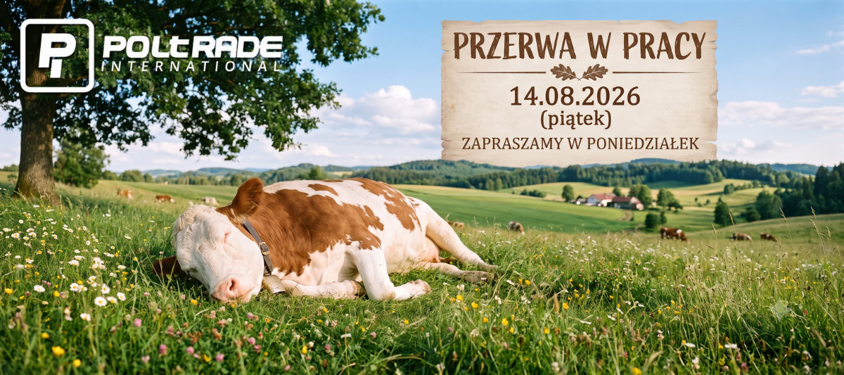 Przerwa 14.08.2026